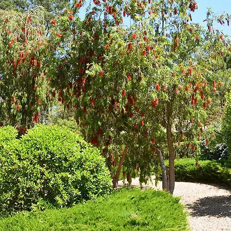 Villa Quinta Do Chaparro Sleeps 12 Pool Wifi Quinta do Conde